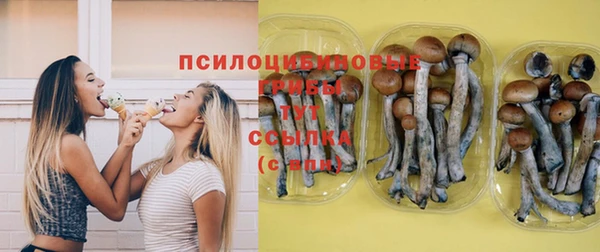 стафф Покровск