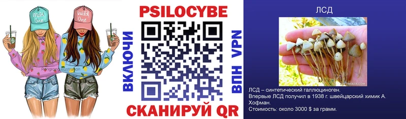 Псилоцибиновые грибы Psilocybine cubensis  Рыльск 
